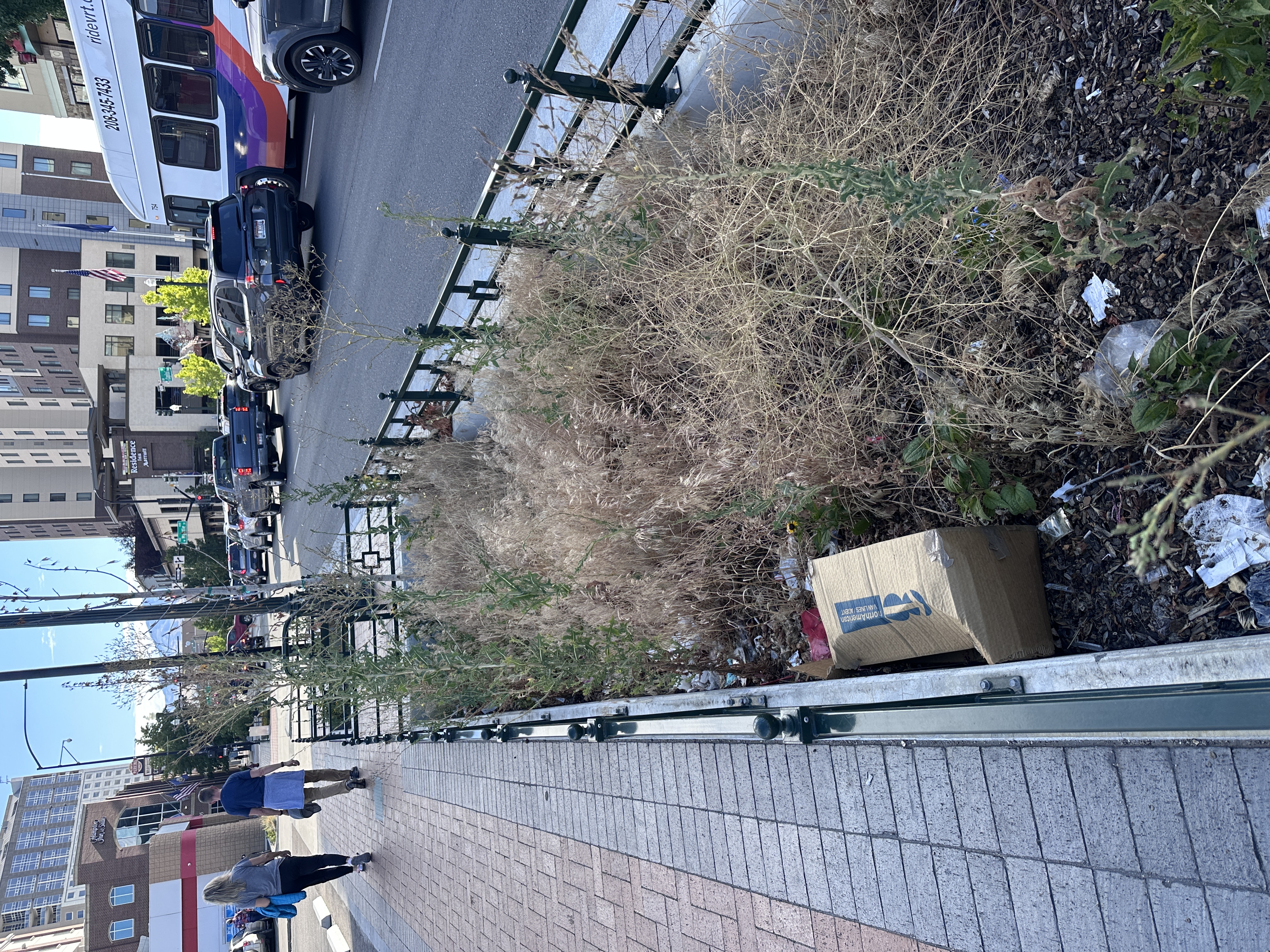 Bioswale site frame